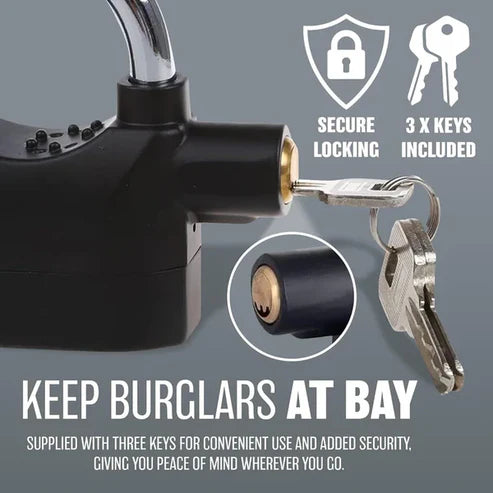 Anti-Theft Alarm Lock